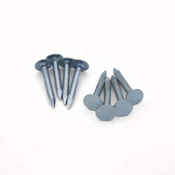 25mm Galvanized Roofing Nails - China Factory Direct photo-5
