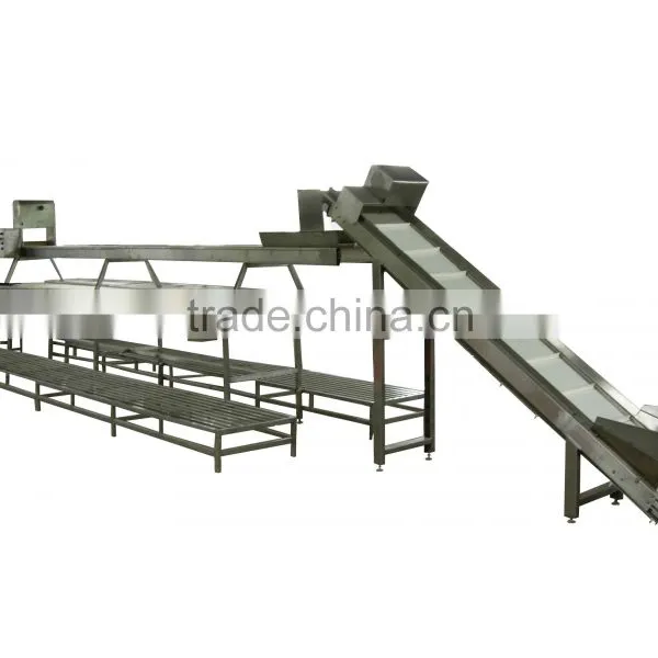 Double Conveyor/Vegetable Conveyor photo-4