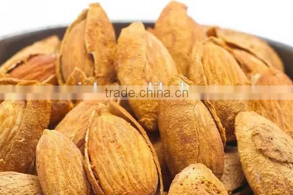 Delicious and Healthy Raw Almonds Nuts