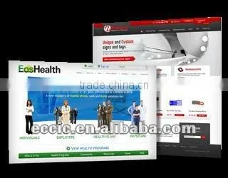 Business Website Deisgn and Development Service