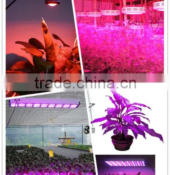 High Power 200w LED Grow Lamp For Plants photo-2