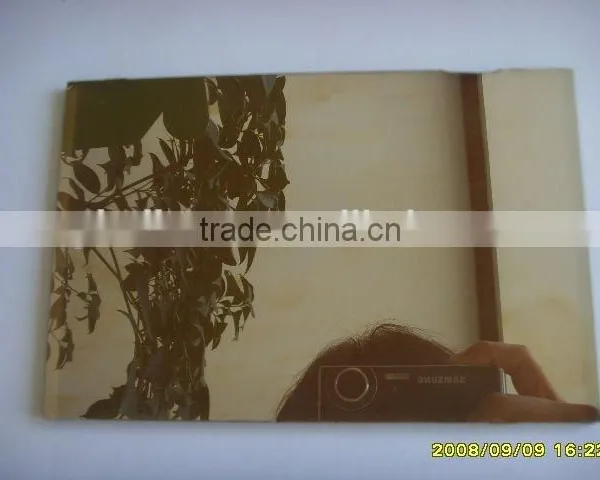 4-6mm Bronze Tinted Glass/Decorative Window Glass photo-3