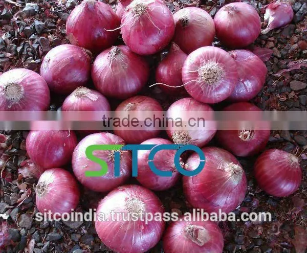 ONION photo-5