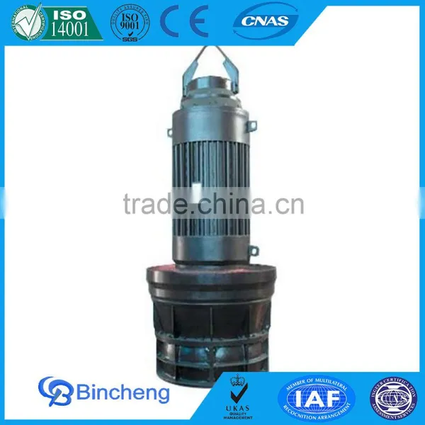 Submersible Dewatering Pump for Pond photo-4