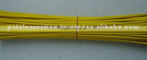 Reed Stick photo-3