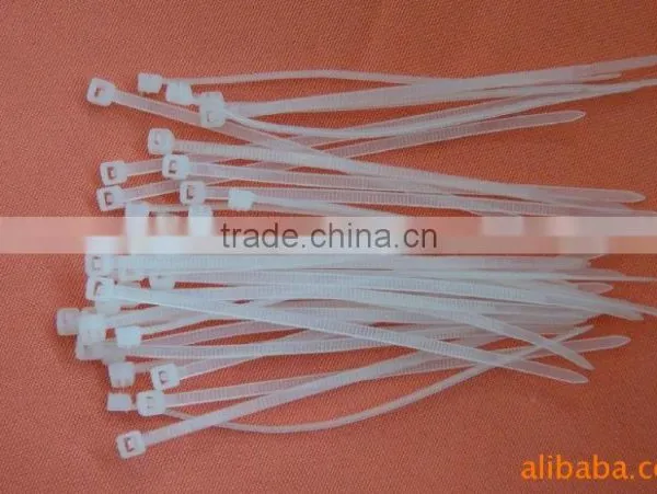 Hot Sale Quality Mountable Nylon Cable Ties 3*100 photo-4