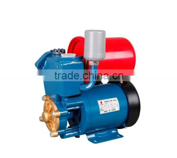 AUTOQB60 Cast Iron Domestic Clean Water Booster Pump photo-3