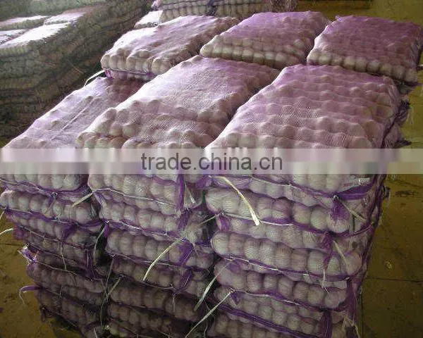 Shandong Garlic photo-6