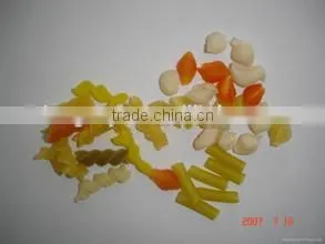 Spiral, Shell Puffed Food Machine in Snack Food photo-4