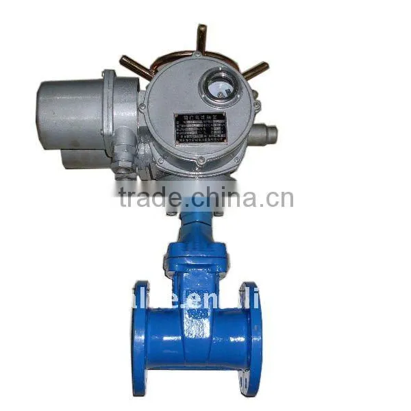 Electric Cast Iron Gate Valves