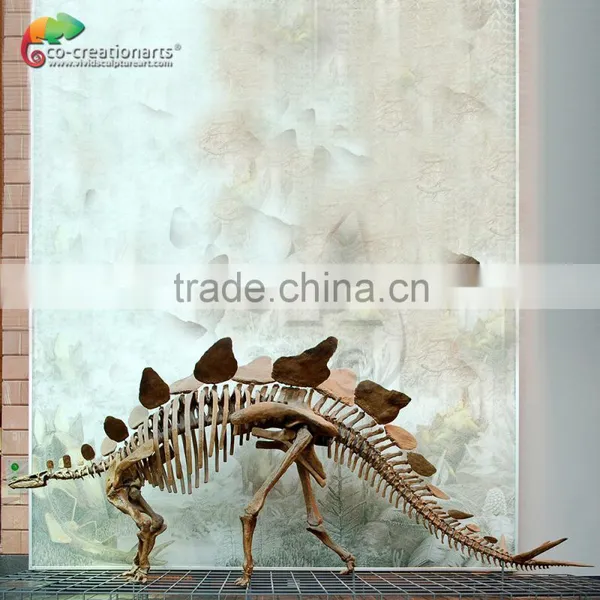 Dinosaur Fossil Replica for Dinosaur Museum Educational Sample photo-4