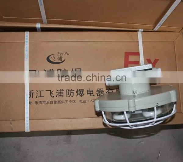 Ccd96 Explosion Proof Maintenance Free Energy Saving Lighting photo-6