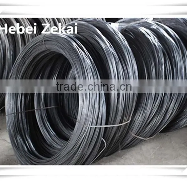 BWG 16 Black Annealed Iron Binding Wire in Hgh Quality for Export to India photo-2