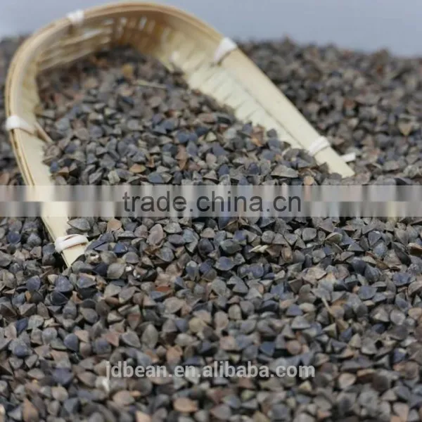 High Quality Raw Sweet Buckwheat Price photo-5