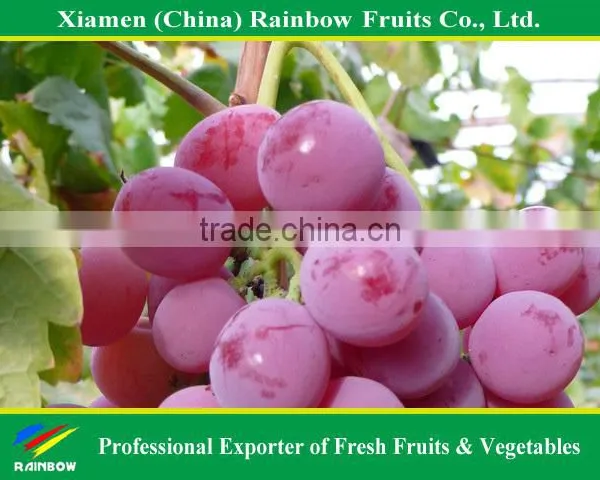 Globe Price Of Chinese Fresh Red Globe Grape photo-5