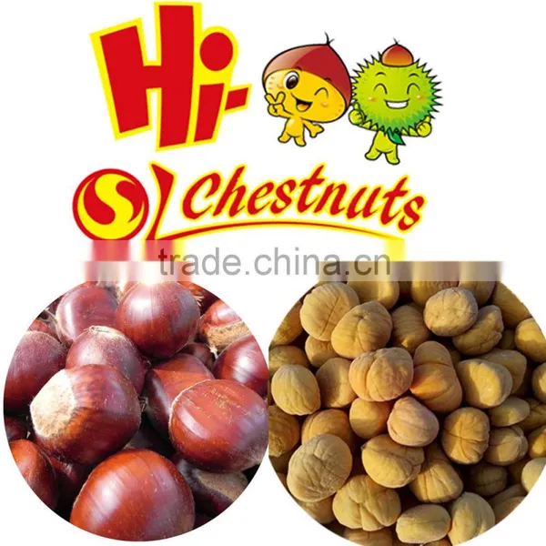 IQF Chestnuts From China Grade C Peeled Chestnuts photo-2