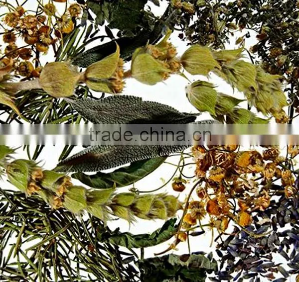 Organic Sage photo-3