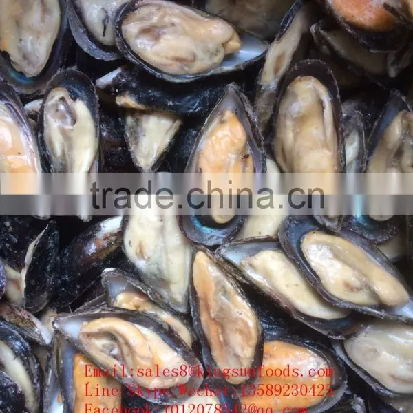 Wholesale High Quality Half Shell Mussel With Good Price and High Quality photo-3