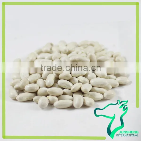 Wholesale Chinese Supply All Types Of White Kidney Beans photo-5