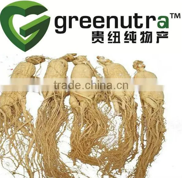 Radix Panax Ginseng