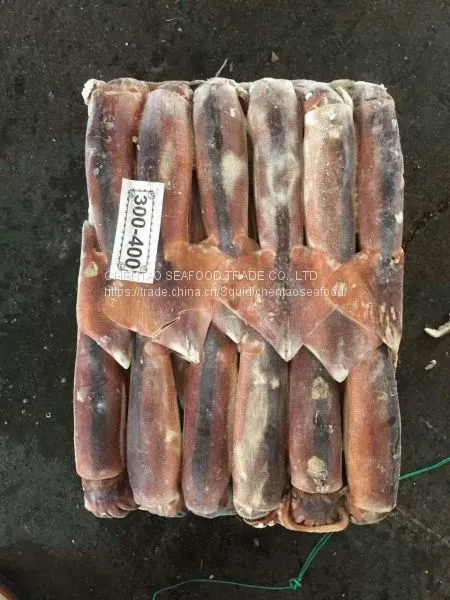 Frozen Squid