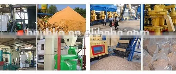 Yuhui Best Selling Pellet Mill for Sale photo-2