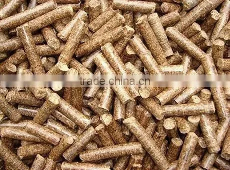 Pine Wood Sawdust Pellet Machine for Small Business Use photo-2