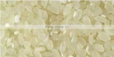 Latest Fashion Best-Selling Nutritive Rice Extruder photo-3