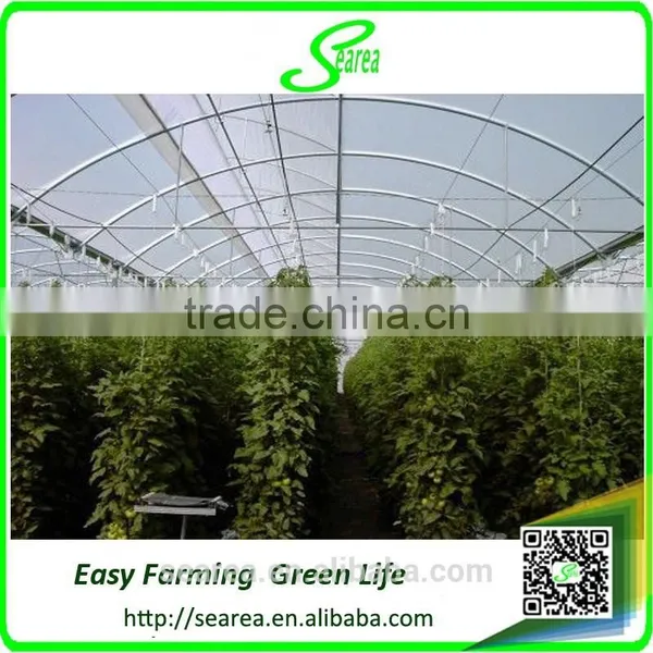 Galvanized Steel Frame Polytunnel Greenhouse photo-3