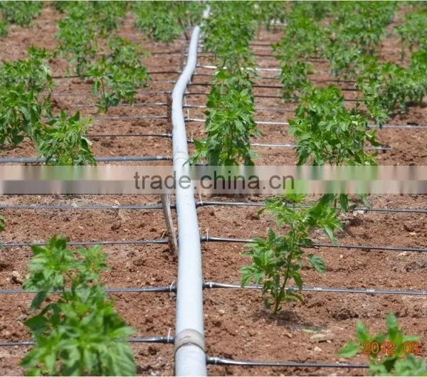 16mm/20mm Drip Irrigation Pipe Drip Pipe Drip Inline Pipe photo-5