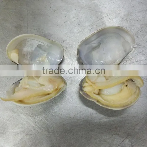 Frozen Cooked Short Necked Clam No Sand No Shell Pieces photo-2