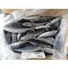 New Land Frozen Mackerel
