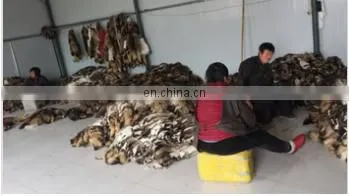 Factory Wholesale High Quality Cheap Price Raccoon Skins Raccoon Trimming photo-4