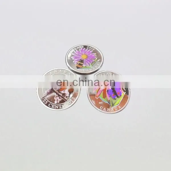 Metal Material and Painted Technique High Quality Foreign Military Challenge Coins