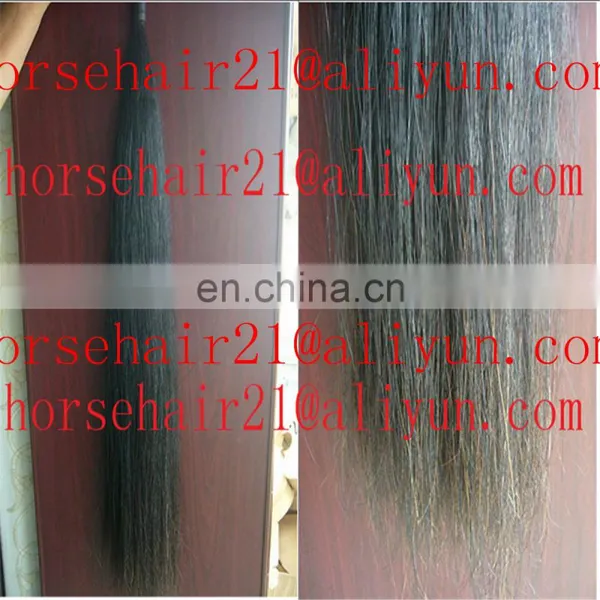 Ebay Horse Tail Hairs / Horsetail Hairs / Horse Hairs photo-4