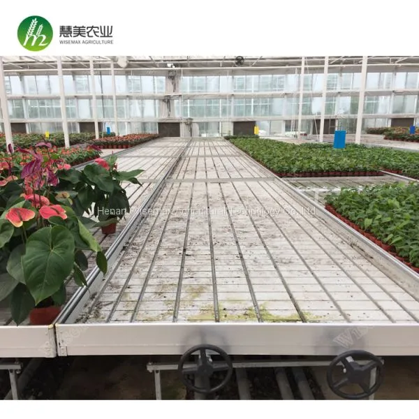 Agricultural 4ft x 8 ft Ebb&flow Benches photo-4