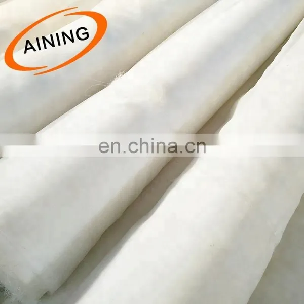 Agricultural Anti Insect Net Greenhouse for Sale photo-6