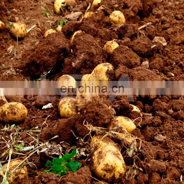 Tractor Mounted Implements Sweet Potato Harvester photo-6