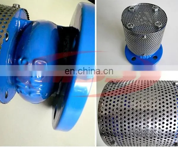 Ductile Cast Iron di Water Pump Foot Valve photo-4