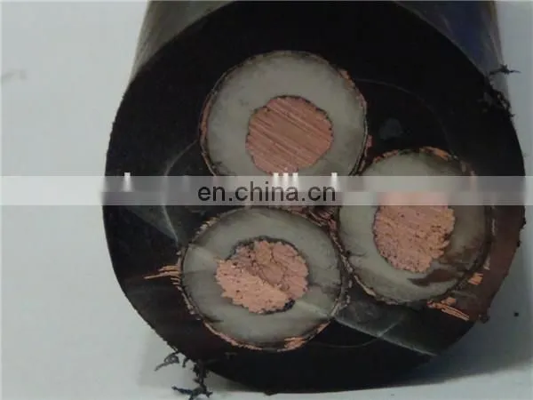 Best Price 300sqmm 66KV Power Cable for Tanzania photo-3
