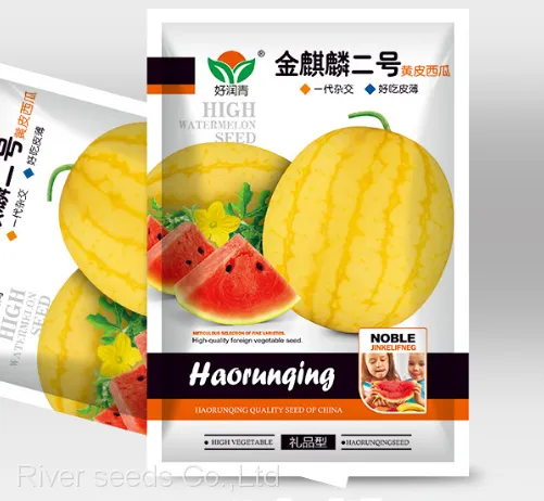 20pcs Watermelon Seeds f1 Hybrid Round Yellow Watermelon Seed for Planting photo-2