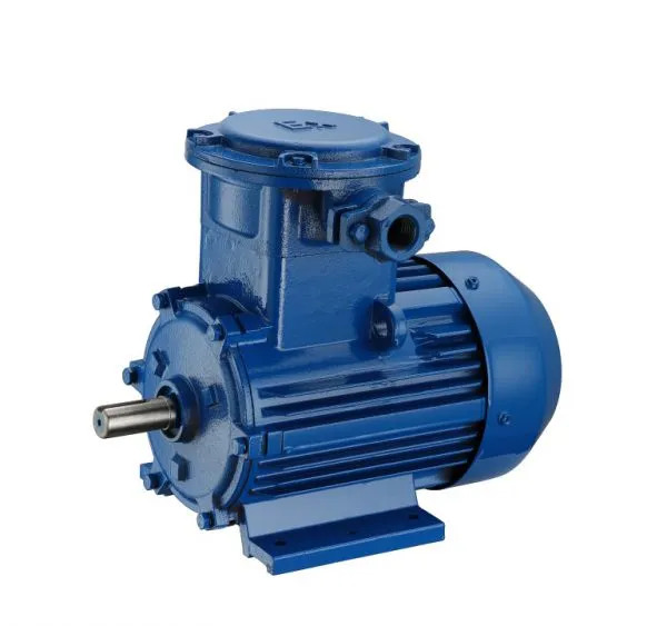 Explosion-proof Motor photo-2