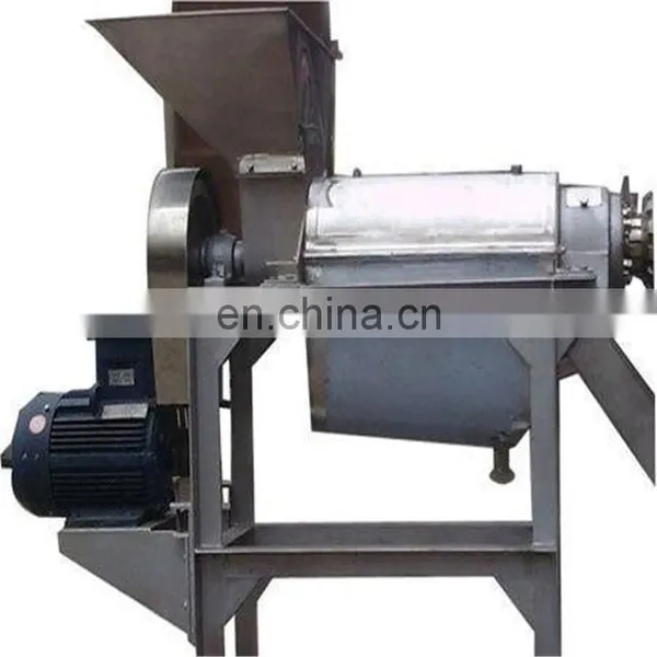 commercial melon juice processing plant