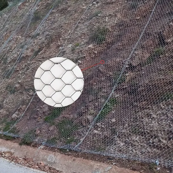 Factory Supply 60*80mm Galvanized Hexagonal Wire Mesh Barrier Plain Weave Technique for Slope Vegetation Zn-Al Woven Material photo-4