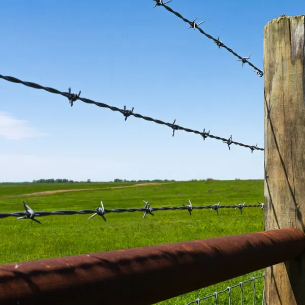 Professional Supplier's Iron Wire Barbed Wire Roll Razor Wire Fence at Economical Price Per Roll for Protection photo-5