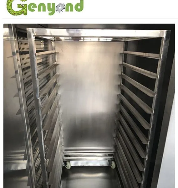 Industrial Strawberry Hot Air Drying Oven Machine PLC Core Components Efficient Dryer Type photo-4
