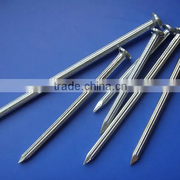 Common Wire Nail