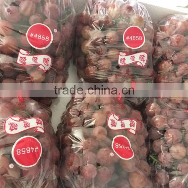 Red Grape 2016 Grop photo-2