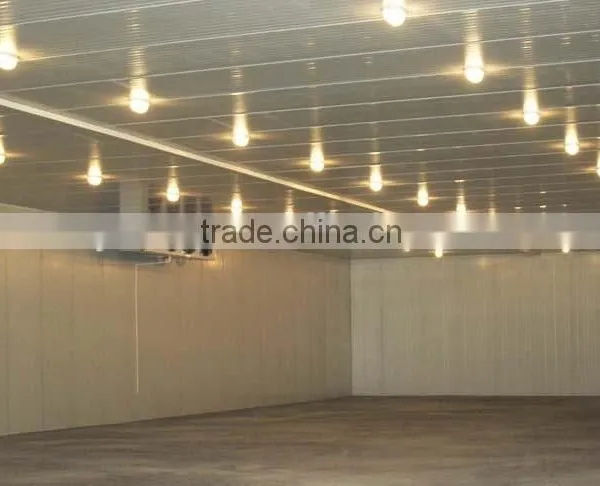 Used pu Sandwich Panel Cold Storage for Fruit and Vegetable photo-5