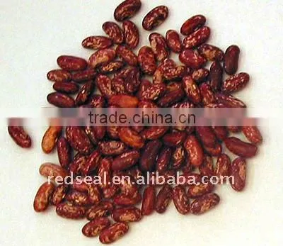Safflower Kidney Beans